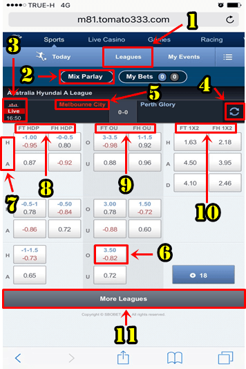 วิธีเล่น Sbobet